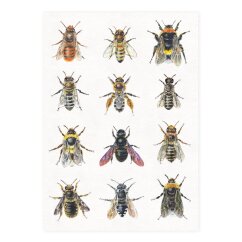Postkarte Wildbienen