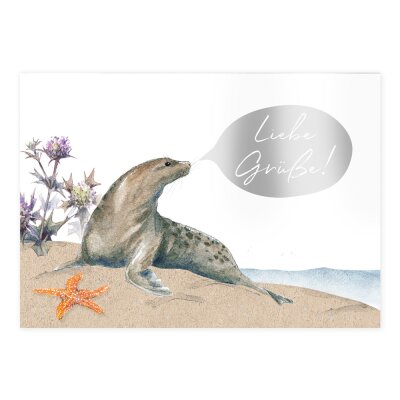 Postkarte Seehund
