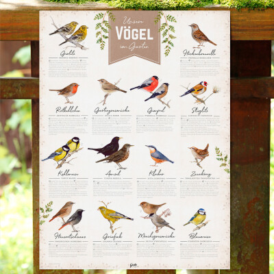 Poster Gartenvögel