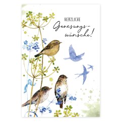 Postkarte Vogelranke