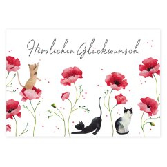 Postkarte Katzen Herzlichen Gl&uuml;ckwunsch