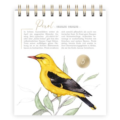 Adventskalender Wissenswertes über 24 Vogelarten