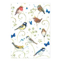 Postkarte mit Singvögeln